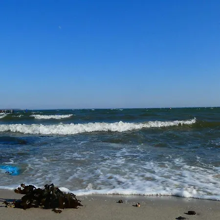 度假居 12 Person In 哈泽斯莱乌