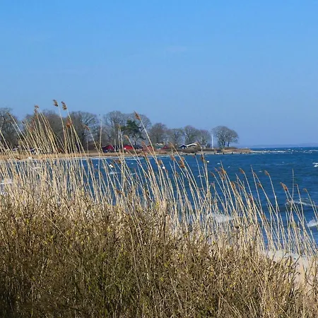 5 Star In Haderslev